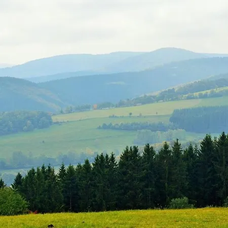Majestic In Willingen Апартаменты *