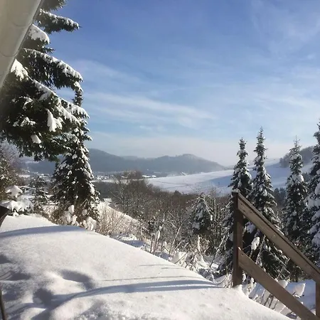Majestic In Willingen Апартаменты *